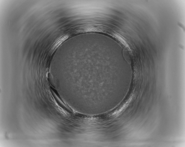 X0000095530793200712281521