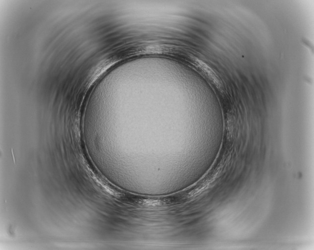 X0000095530794200712281521