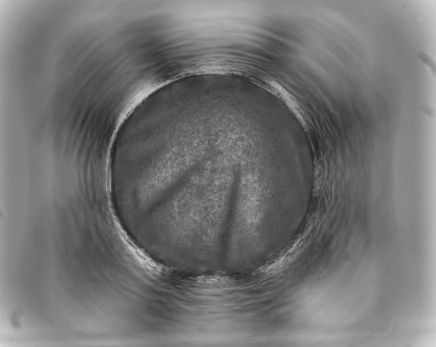 X0000095530795200712281521