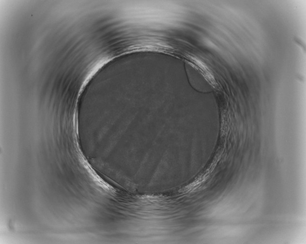 X0000095530796200712281521