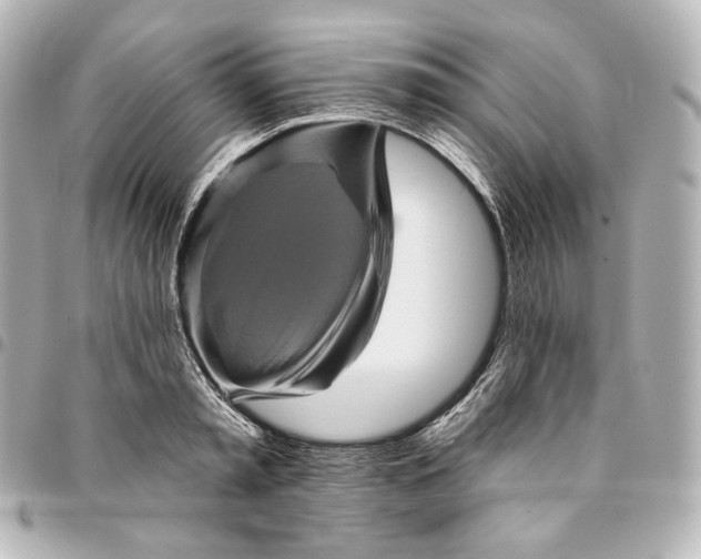 X0000095530797200712281521