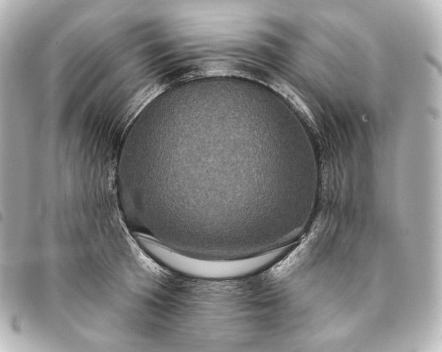 X0000095530801200712281521
