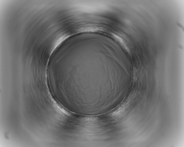 X0000095530802200712281521