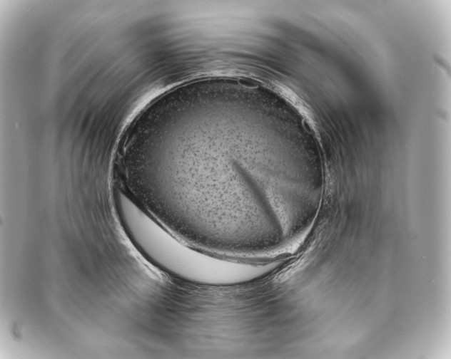 X0000095530803200712281521