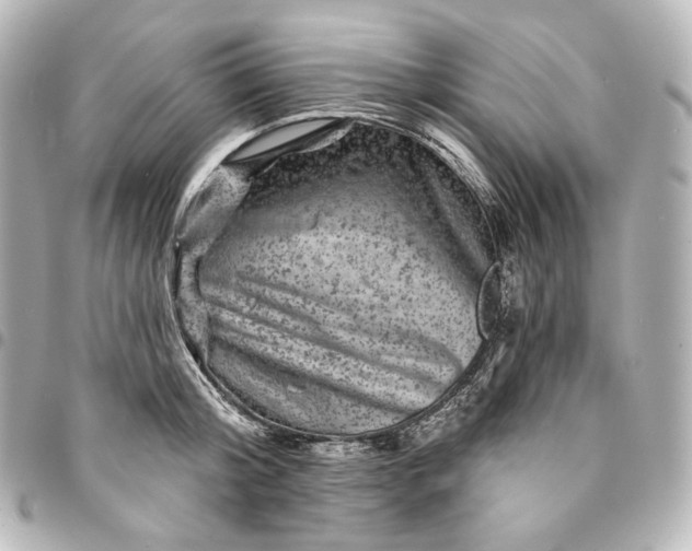 X0000095530804200712281521