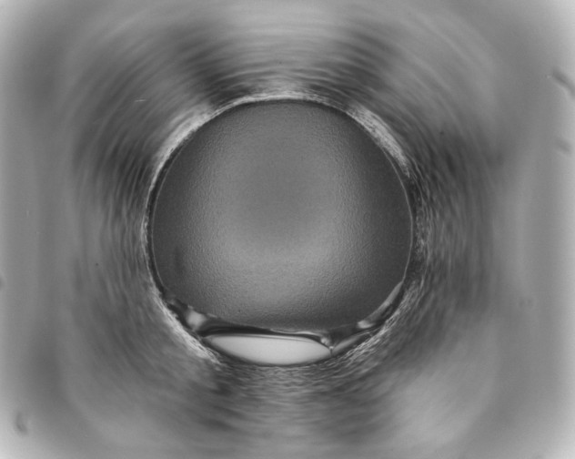 X0000095530805200712281521