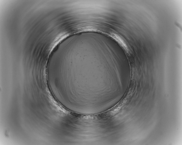 X0000095530806200712281521