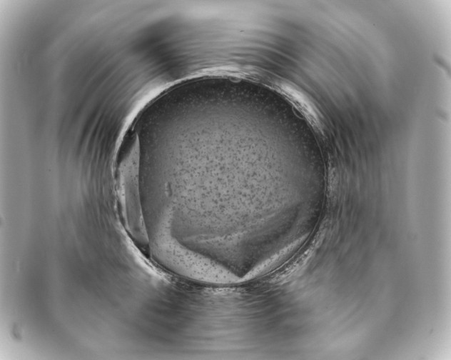 X0000095530808200712281521