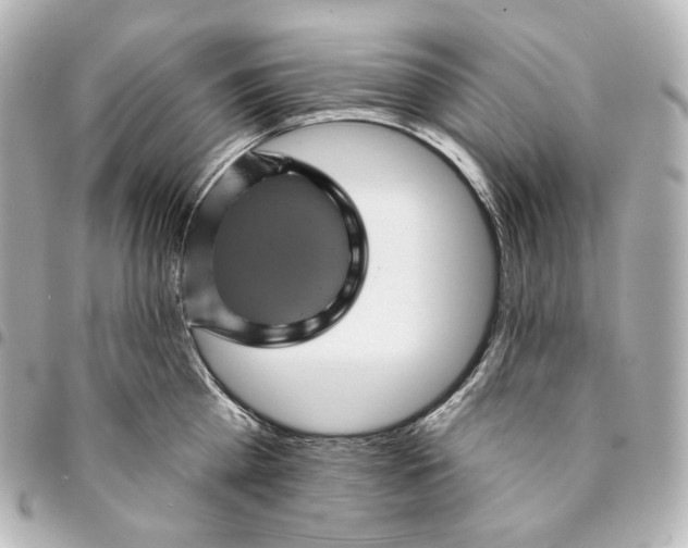 X0000095530809200712281521
