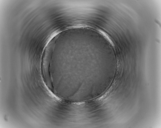 X0000095530810200712281521
