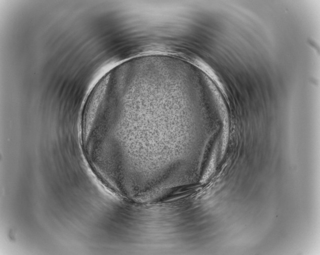 X0000095530811200712281521