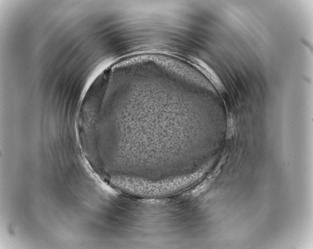 X0000095530812200712281521