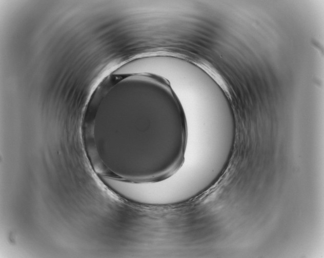 X0000095530813200712281521