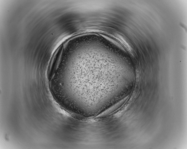 X0000095530814200712281520