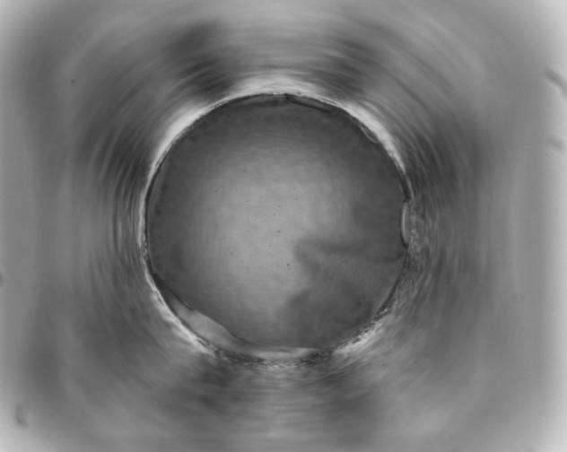 X0000095530815200712281520