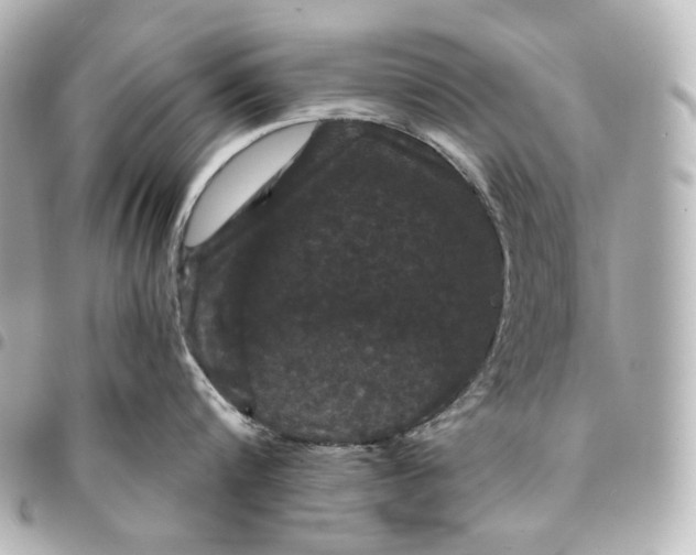 X0000095530816200712281520