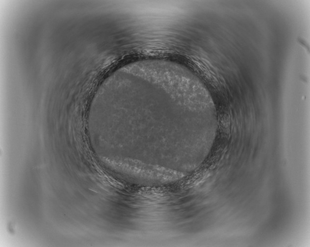 X0000095530817200712281520