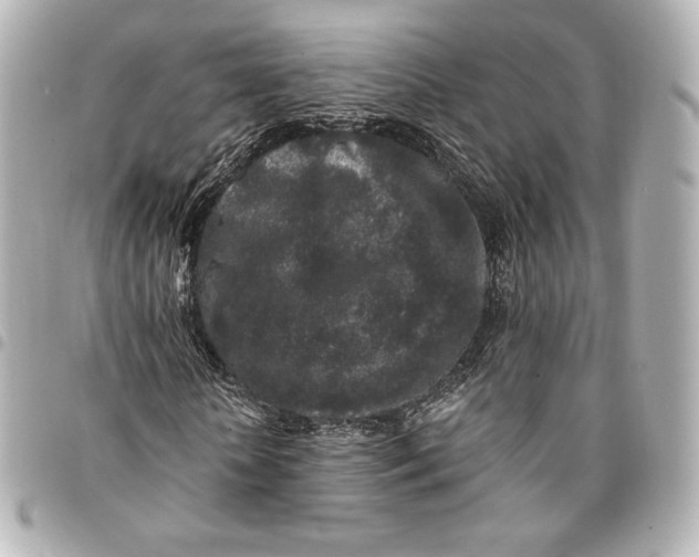 X0000095530818200712281520