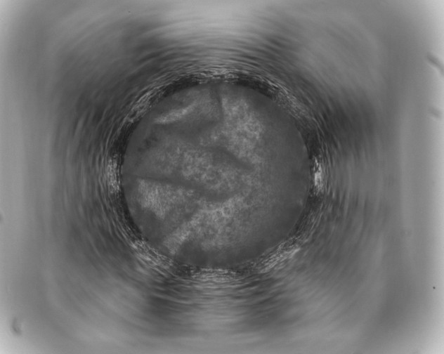 X0000095530819200712281520