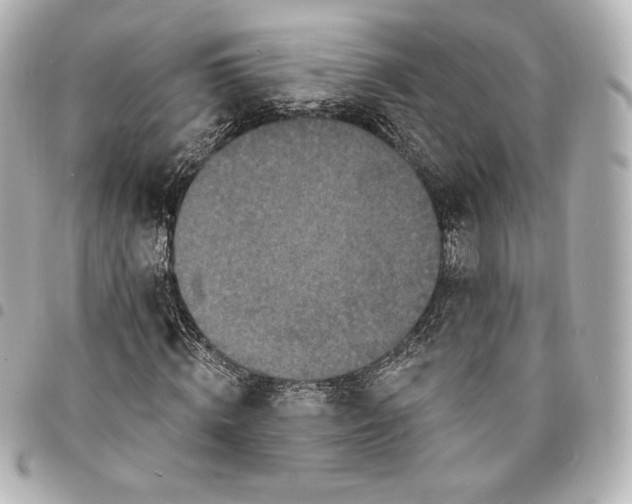 X0000095530820200712281520