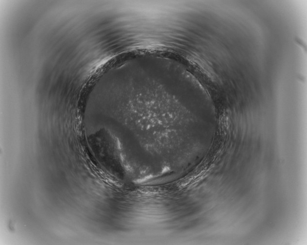X0000095530822200712281520