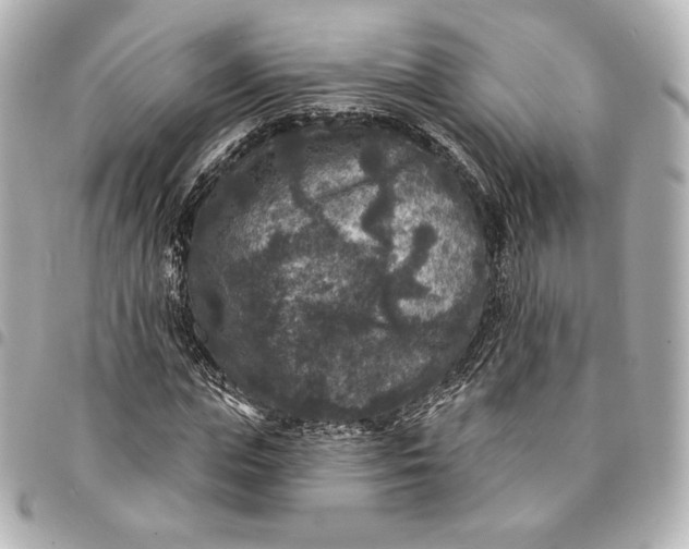 X0000095530823200712281520