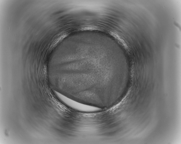 X0000095530825200712281520