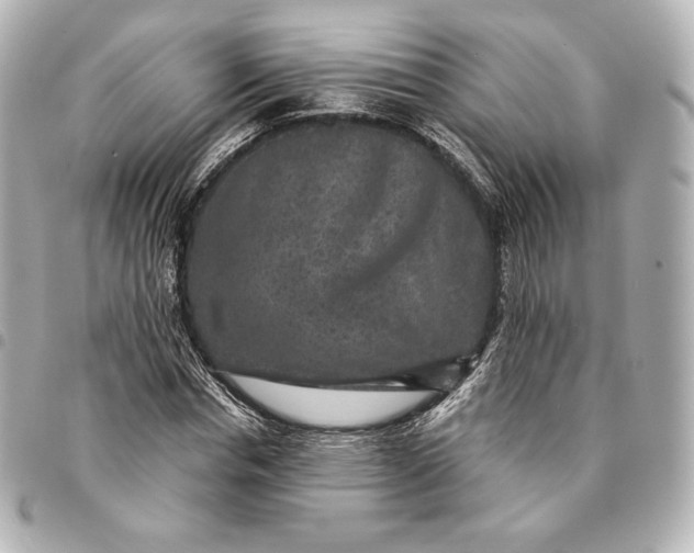 X0000095530826200712281520