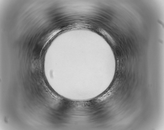 X0000095530828200712281520
