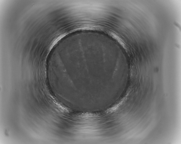 X0000095530829200712281520
