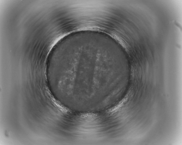 X0000095530830200712281520