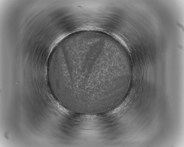 X0000095530831200712281520