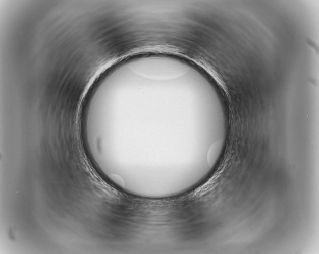 X0000095530832200712281520