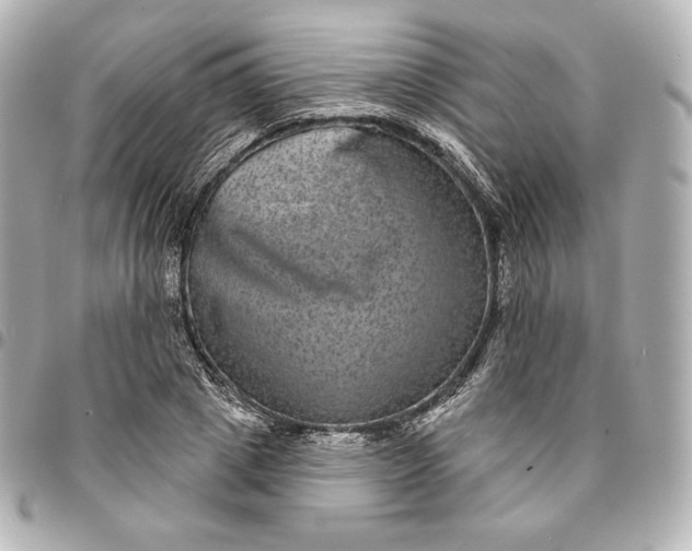 X0000095530833200712281520