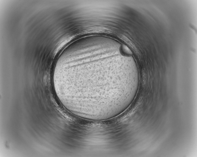X0000095530834200712281520