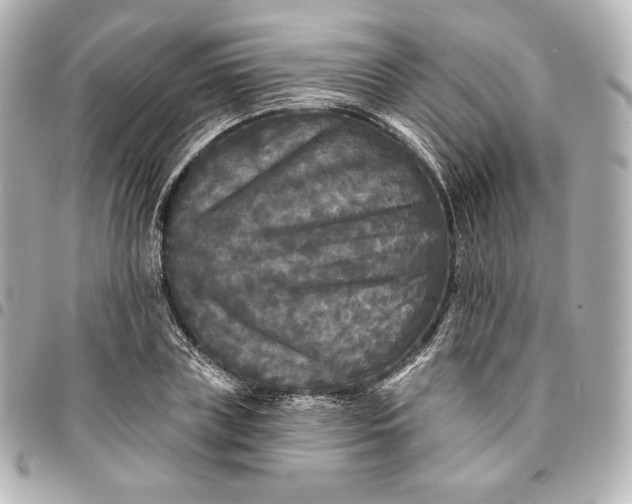 X0000095530835200712281520