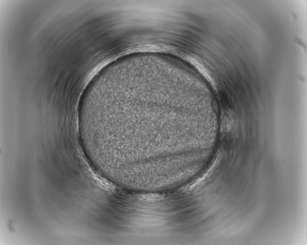 X0000095530837200712281520