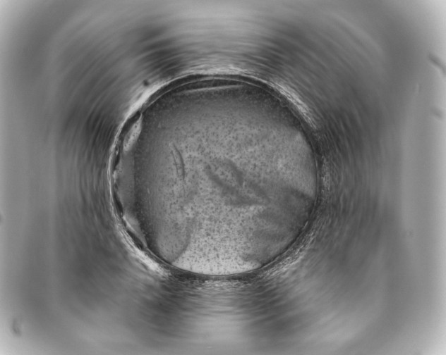 X0000095530840200712281520