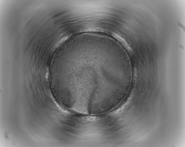 X0000095530841200712281520