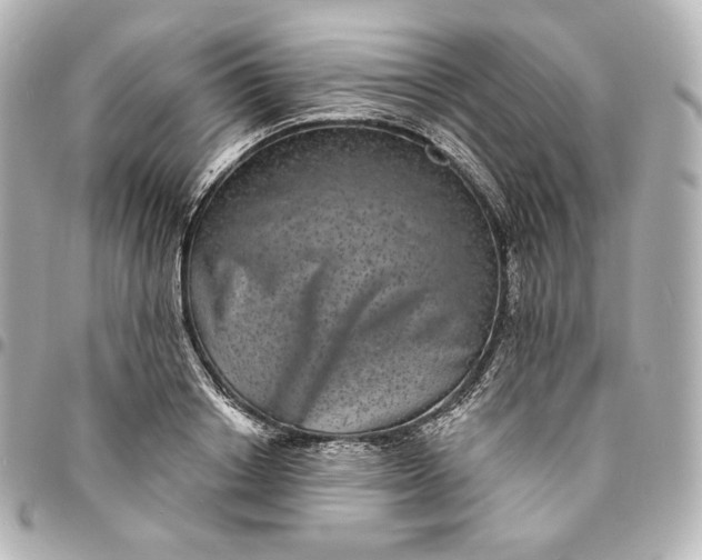 X0000095530842200712281520