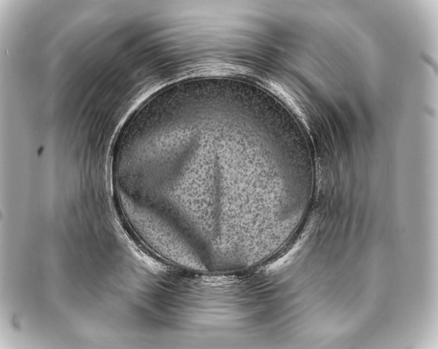 X0000095530843200712281520