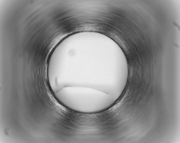 X0000095530844200712281520