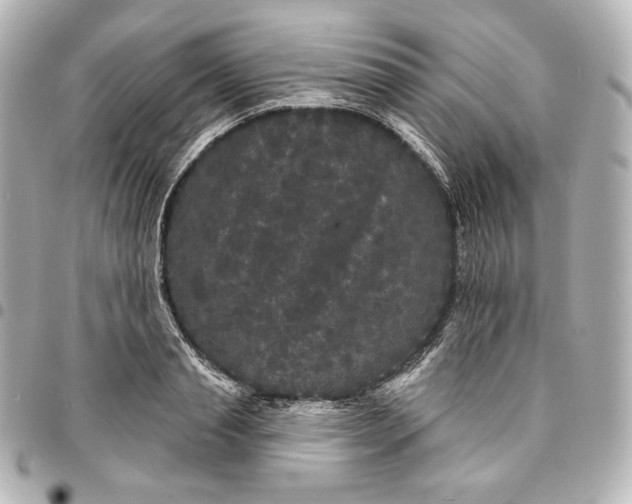 X0000095530845200712281520