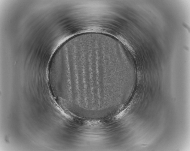 X0000095530846200712281520