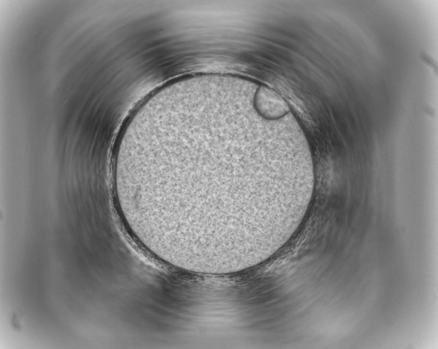 X0000095530848200712281520