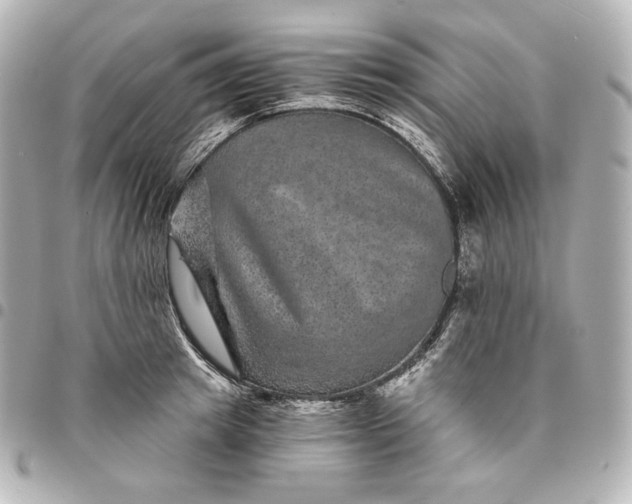 X0000095530849200712281520