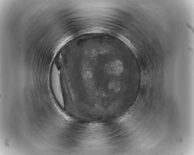 X0000095530850200712281520