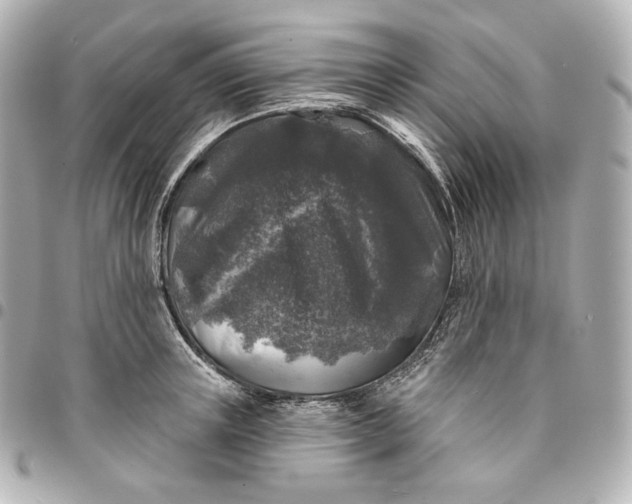 X0000095530851200712281520