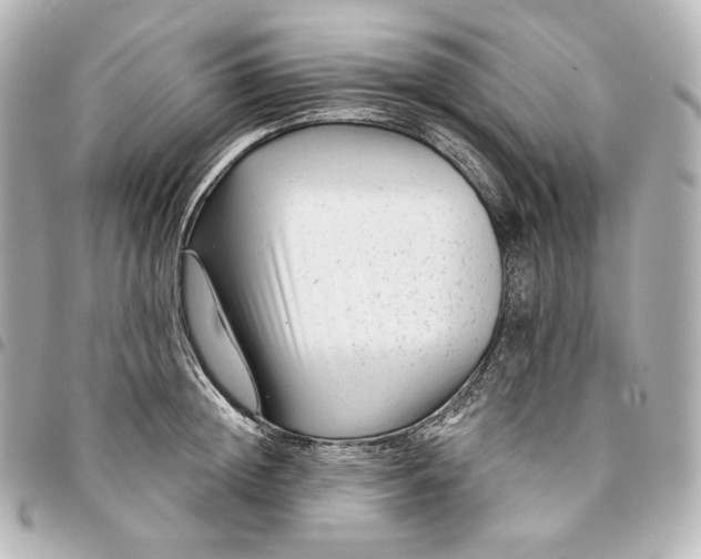 X0000095530852200712281520