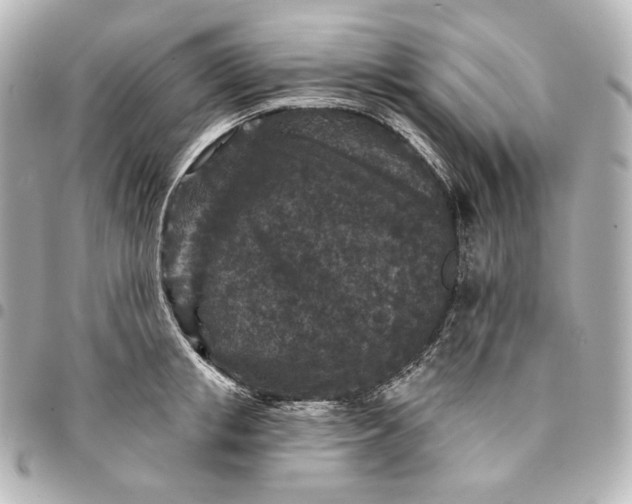 X0000095530853200712281520